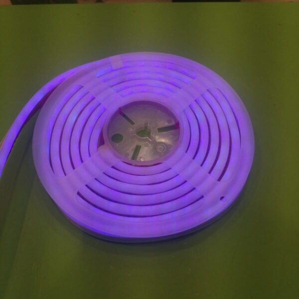 Tira de Luz de Neon Smart Wifi Alexa